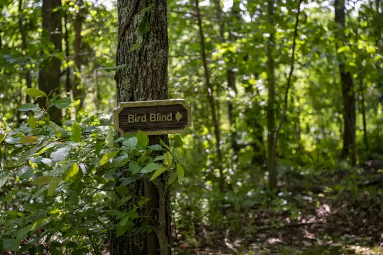 Signage at the Central Kentucky Wildlife Refuge points to the bird blind on the property.