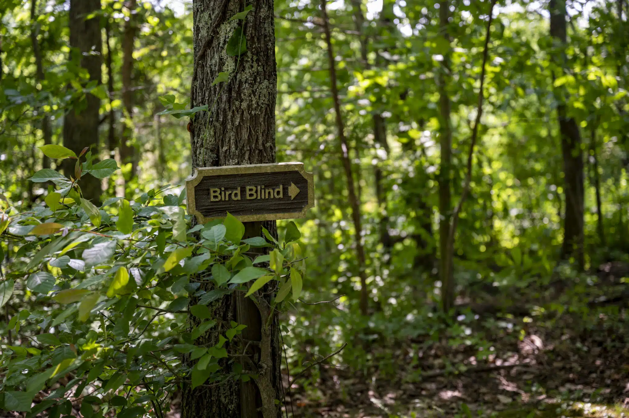 Signage at the Central Kentucky Wildlife Refuge points to the bird blind on the property.